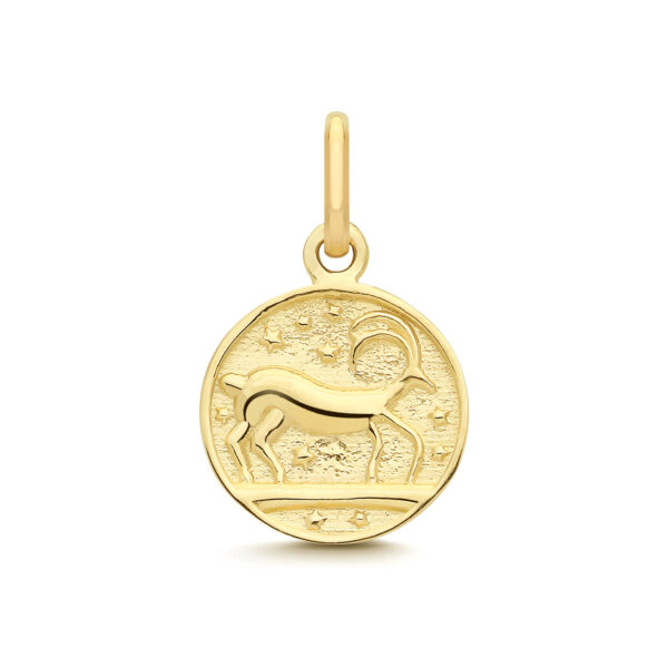9 Carat Gold Capricorn Zodiac Coin Pendant