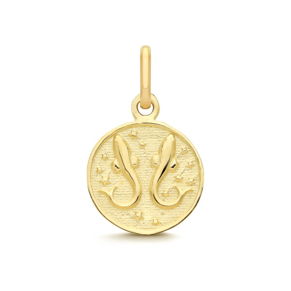 9 Carat Gold Pisces Zodiac Coin Pendant